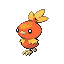 torchic
