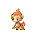 chimchar