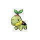 turtwig